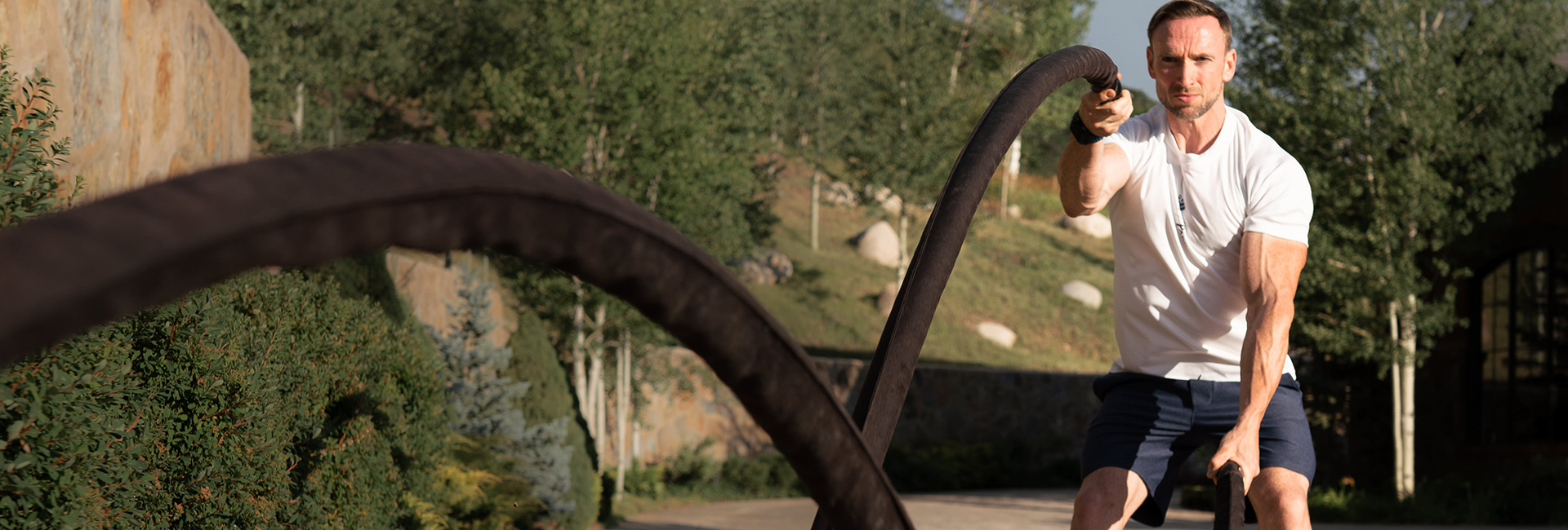 main banner